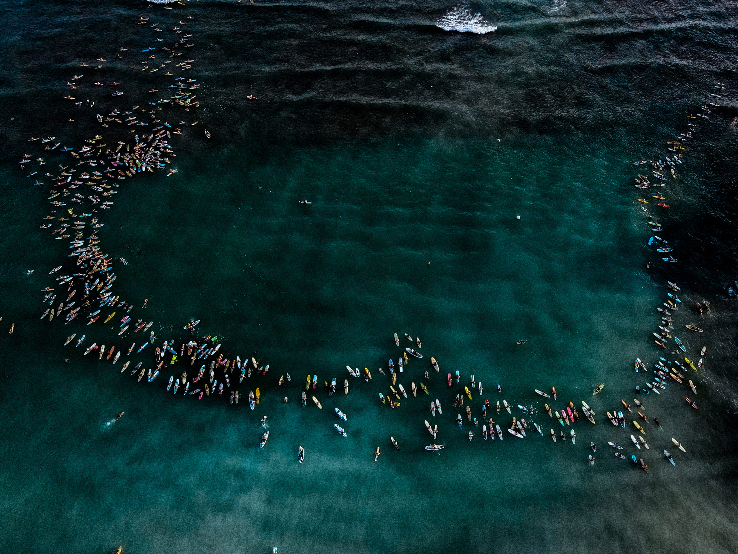 BLM Movement Hawaii Portfolio 