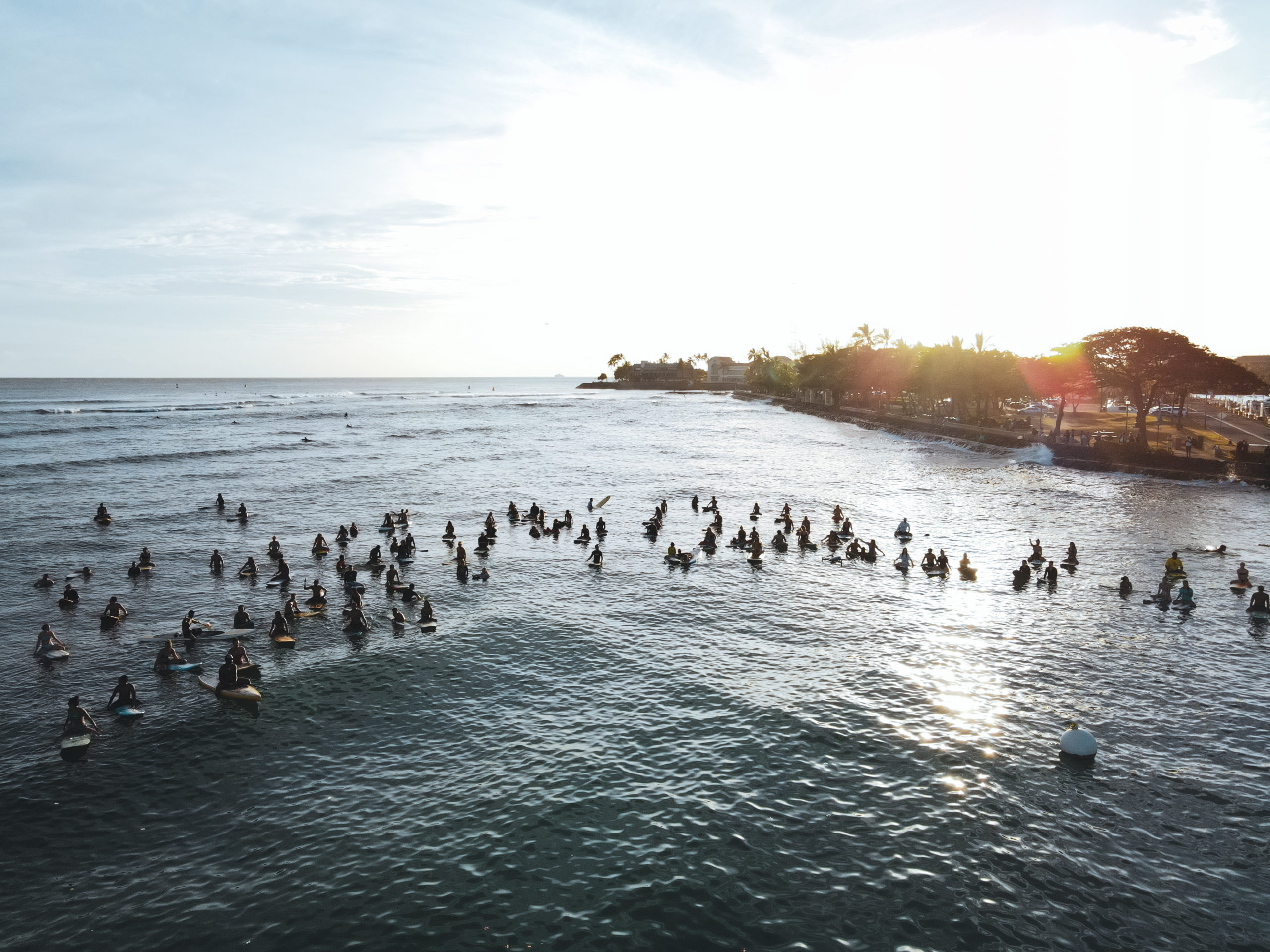 BLM Movement Hawaii Portfolio 