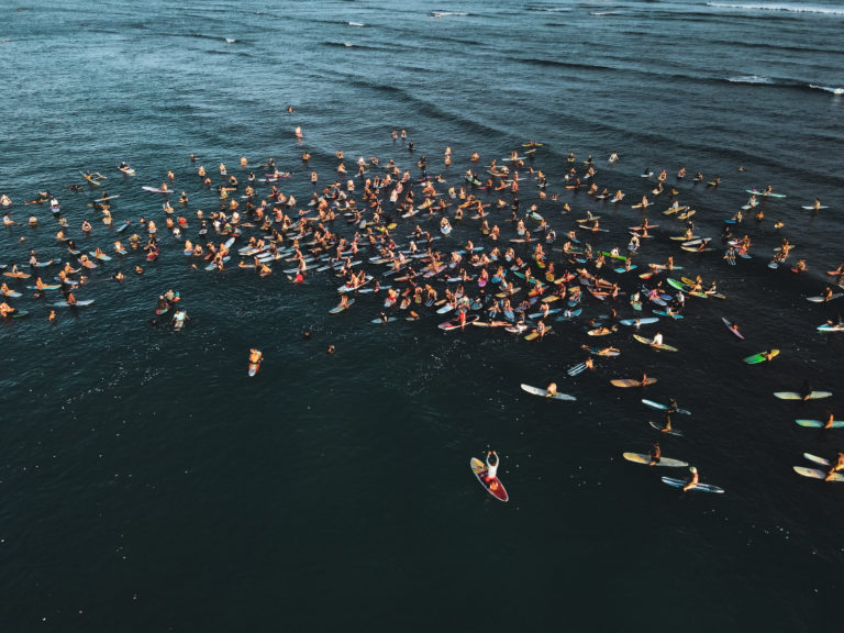 BLM Movement Hawaii Portfolio 