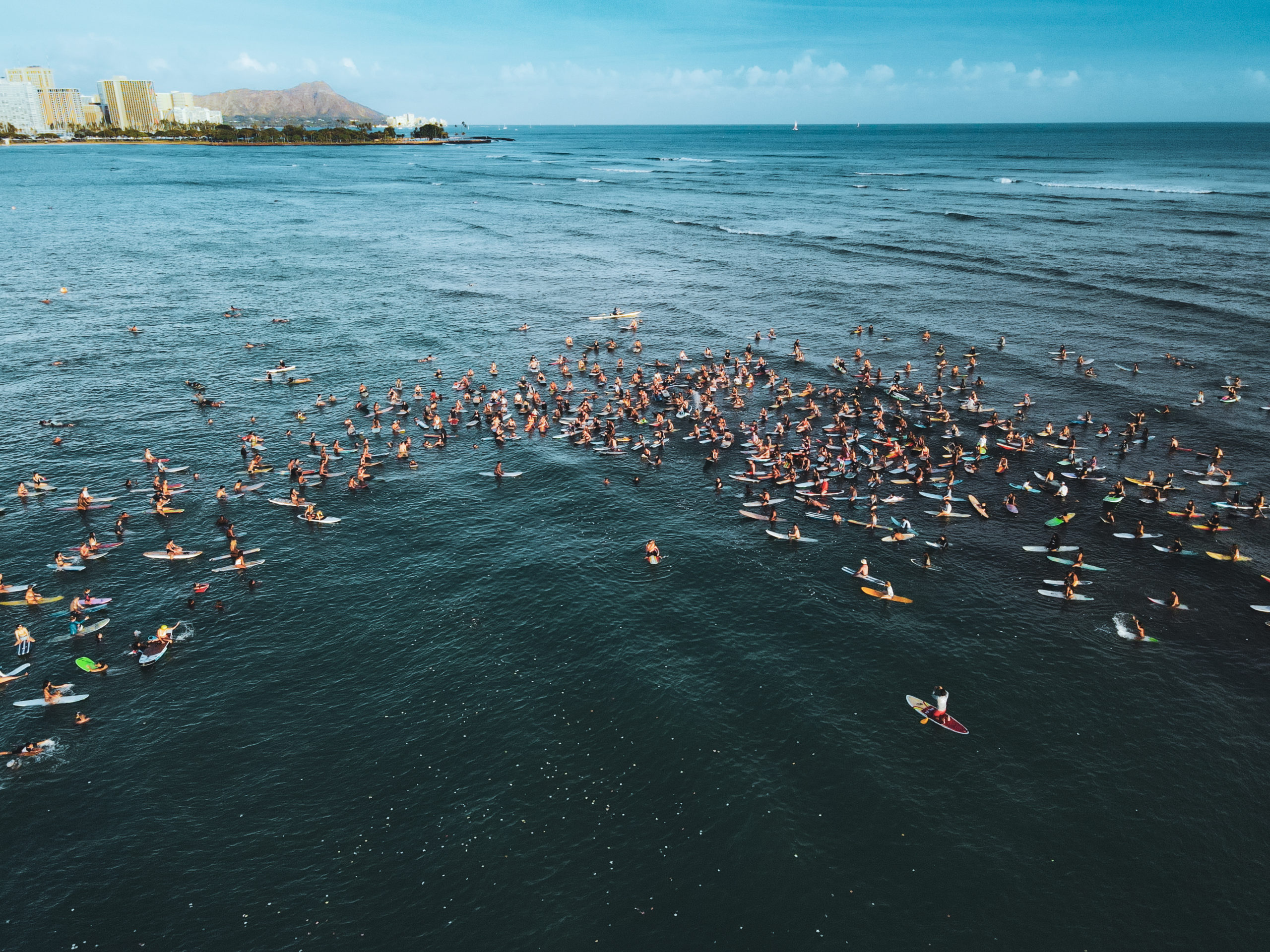 BLM Movement Hawaii Portfolio 