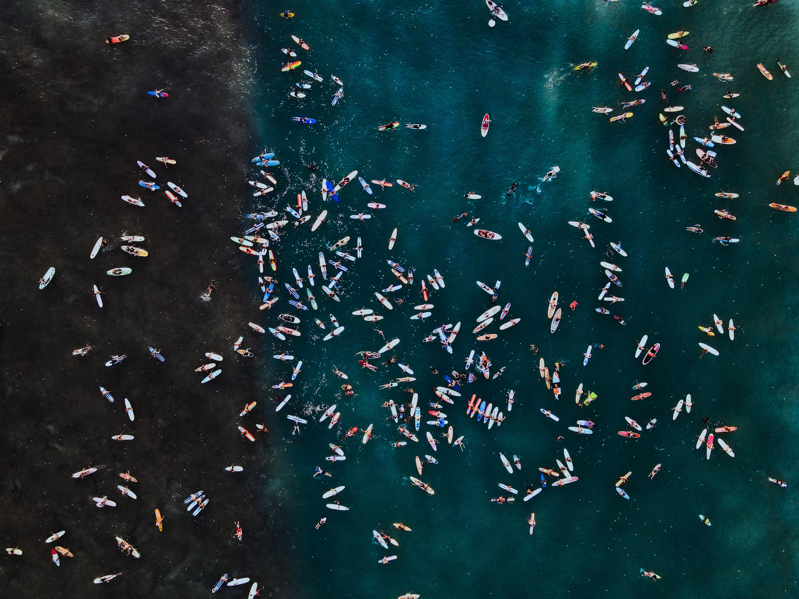 BLM Movement Hawaii Portfolio 