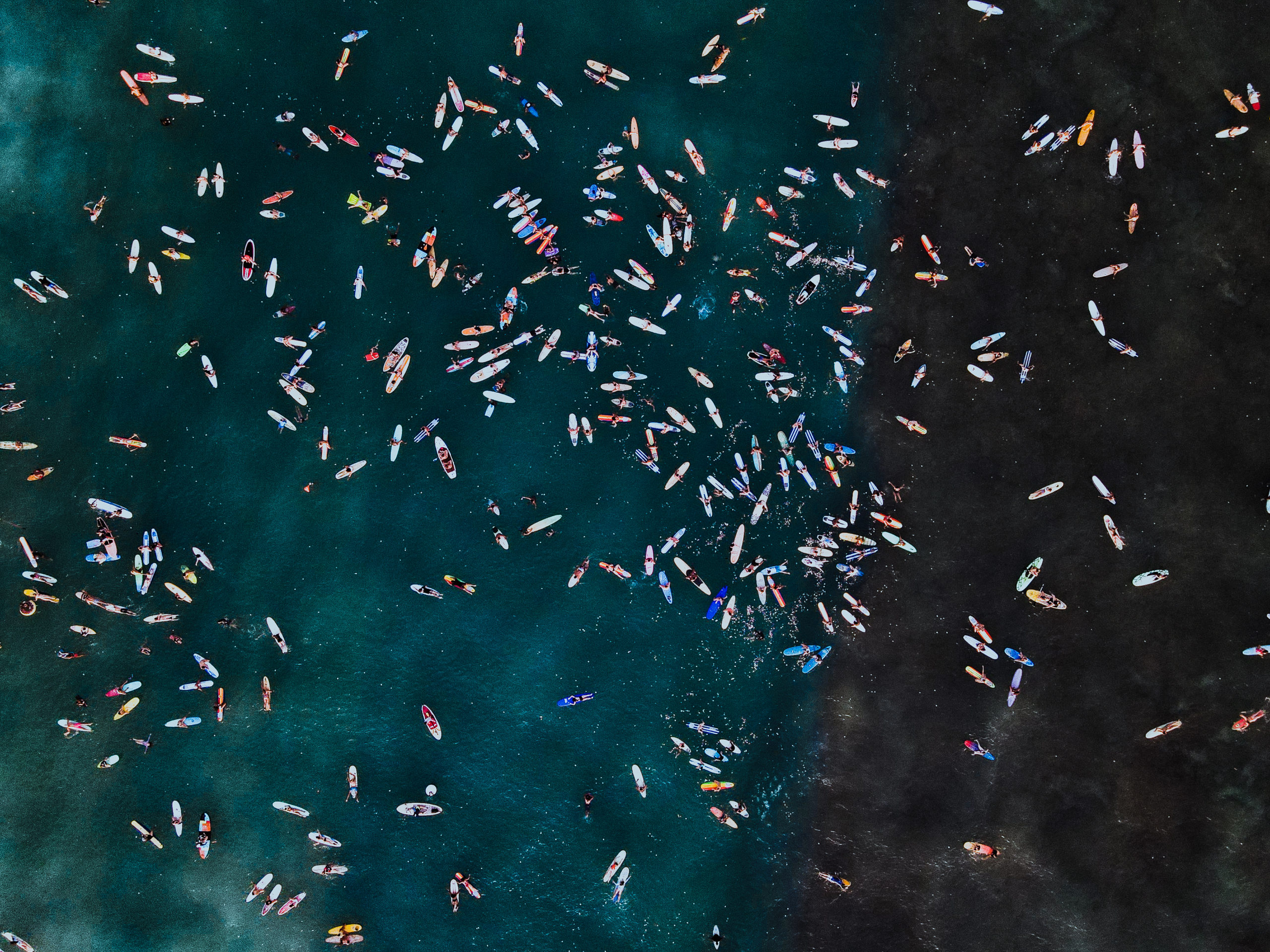 BLM Movement Hawaii Portfolio 