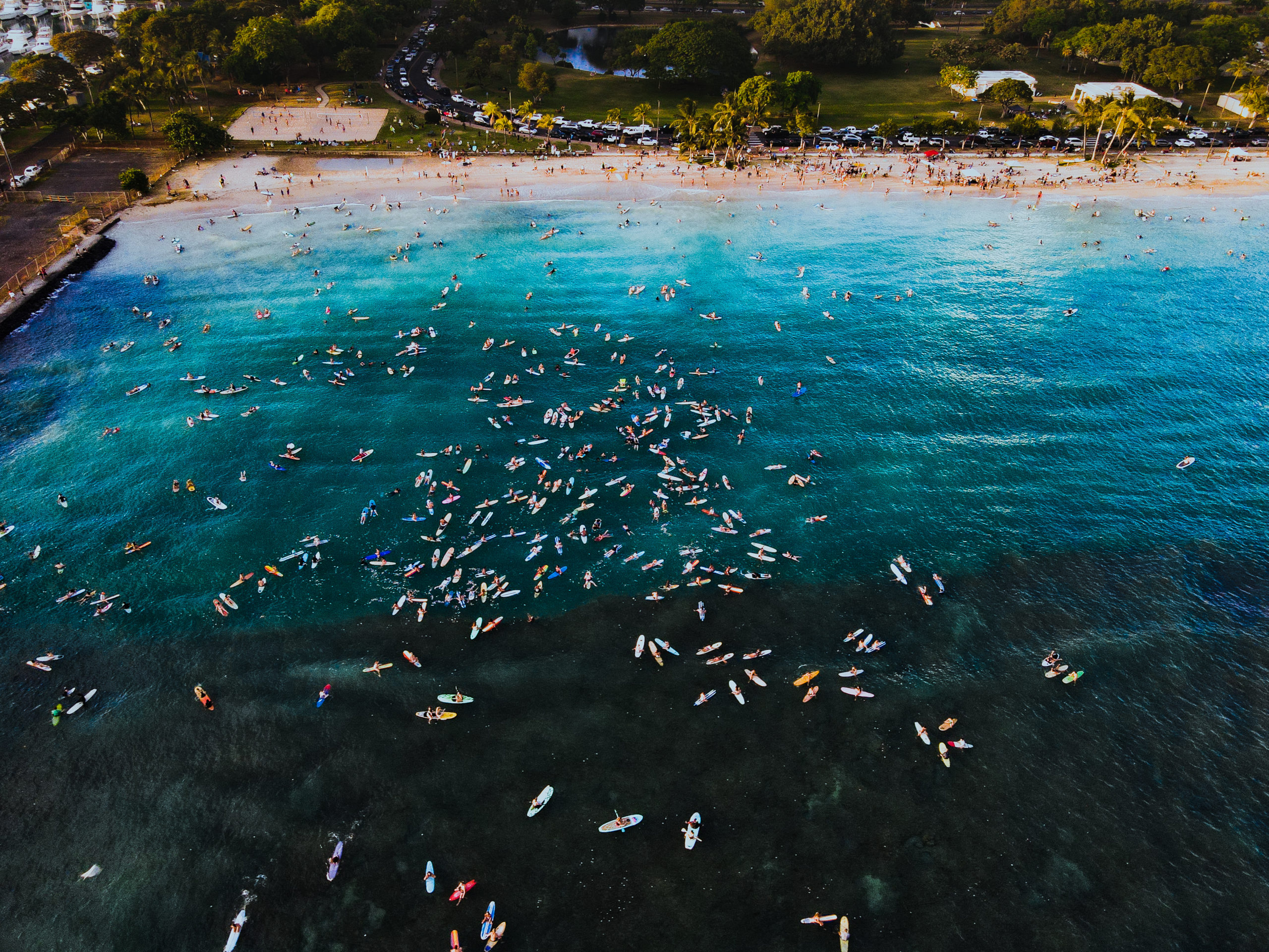 BLM Movement Hawaii Portfolio 