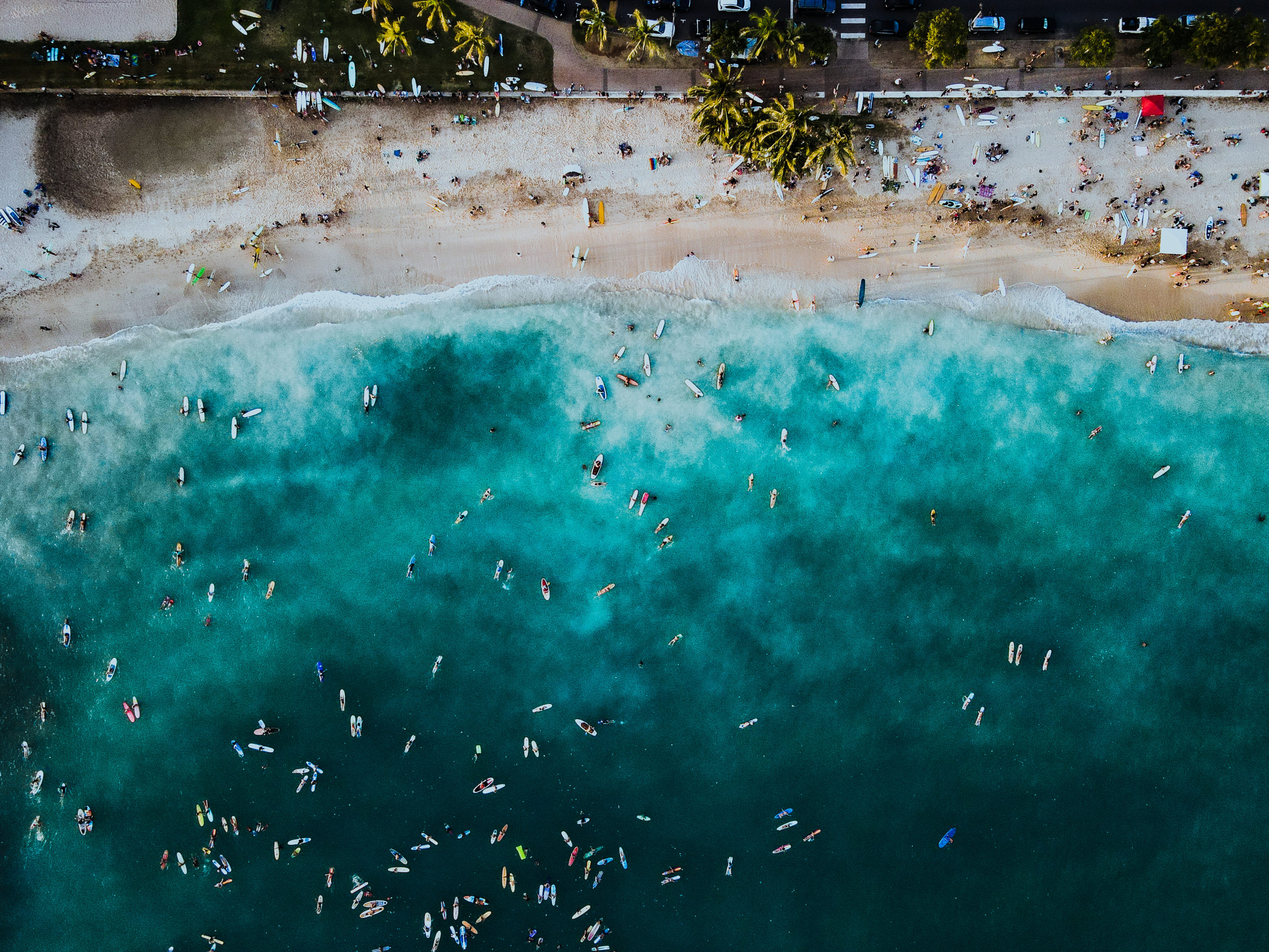 BLM Movement Hawaii Portfolio 