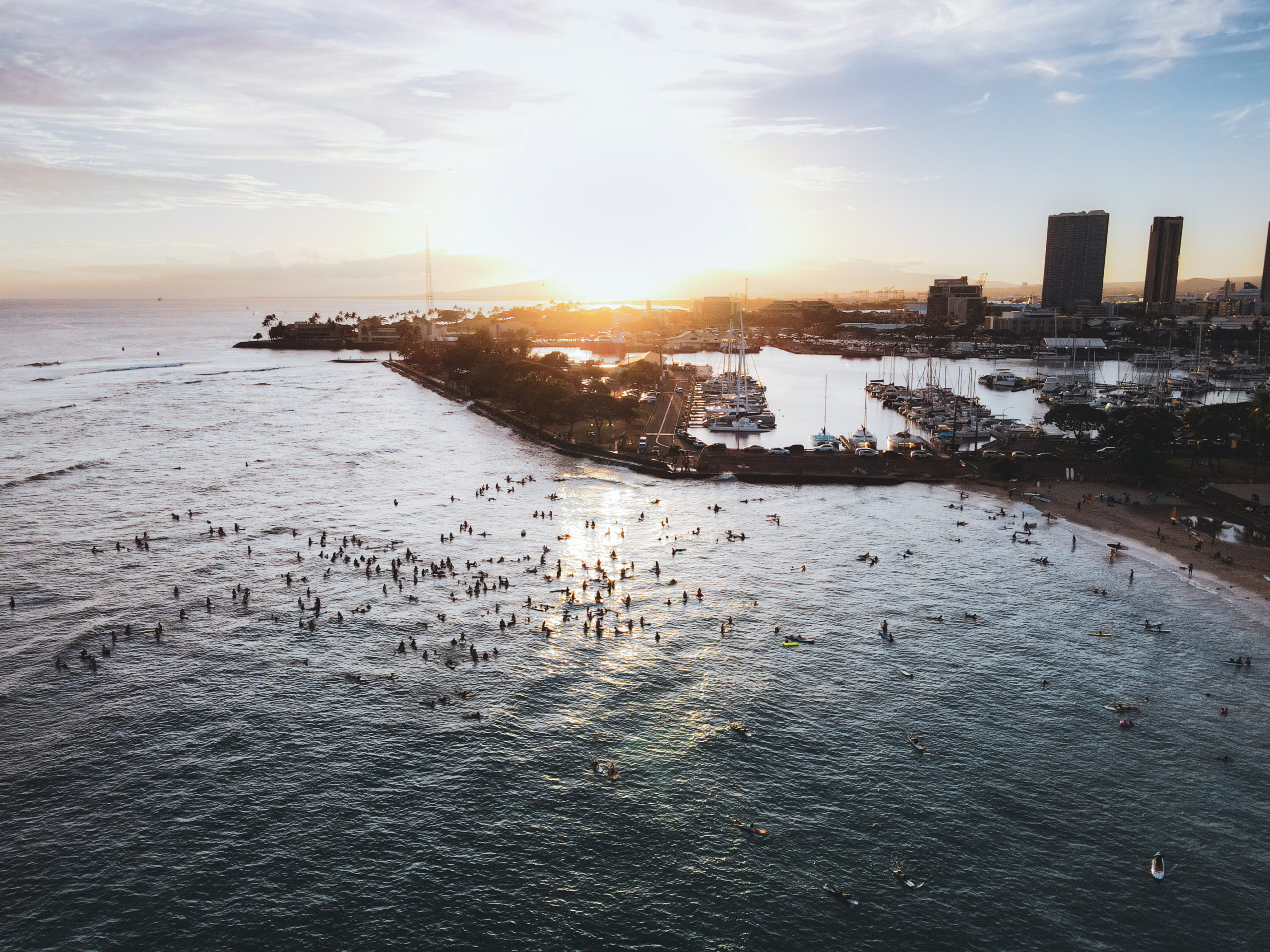 BLM Movement Hawaii Portfolio 